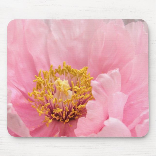Mousepad Tapete do rato: Peônia cor-de-rosa da árvore (Frente)