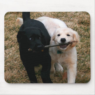 Mousepad Tapete do rato preto & branco dos filhotes de