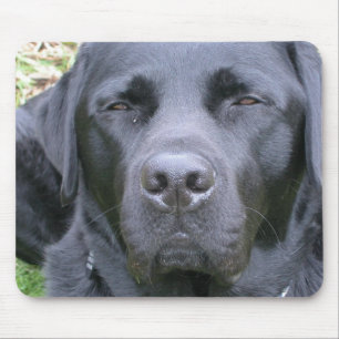 Mousepad Tapete do rato preto do cão de labrador retriever