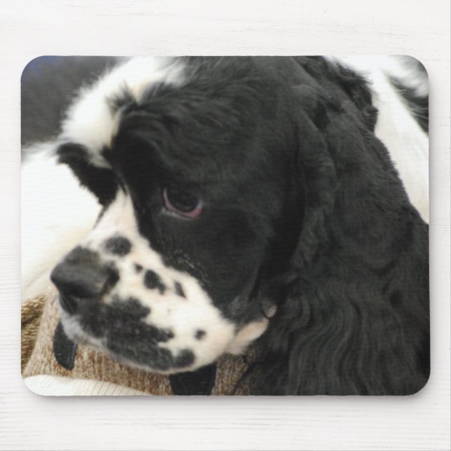 Mousepad Tapete do rato preto e branco de cocker spaniel (Frente)