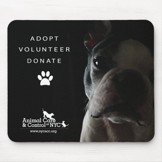 Mousepad Tapete do rato "que olha quietamente " (Frente)