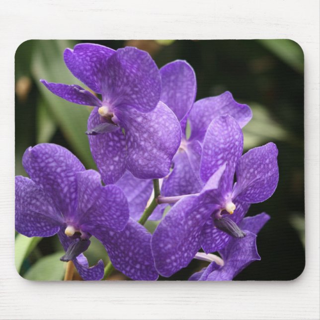 Mousepad Tapete do rato roxo da orquídea (Frente)