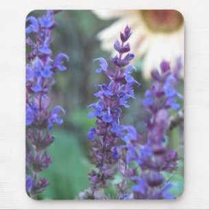 Mousepad Tapete do rato roxo de Salvia
