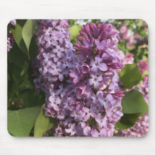 Mousepad Tapete do rato roxo do Lilac