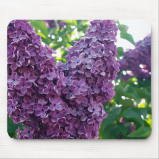 Mousepad Tapete do rato roxo dos Lilacs