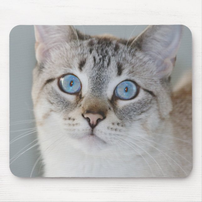 Mousepad Tapete do rato Siamese do gato malhado de prata (Frente)