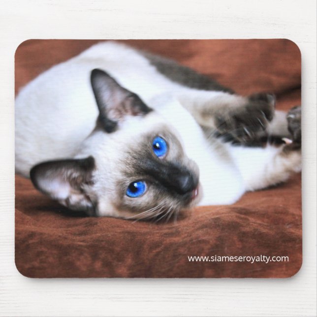 Mousepad Tapete do rato Siamese dos direitos (Frente)