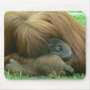 Mousepad Tapete do rato Snoozing do orangotango