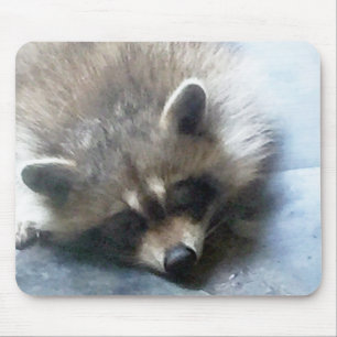 Mousepad Tapete do rato sonolento do filhote do guaxinim