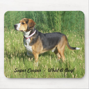 Mousepad Tapete do rato super do lebreiro do tanoeiro