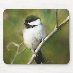 Mousepad Tapete do rato tampado preto do Chickadee