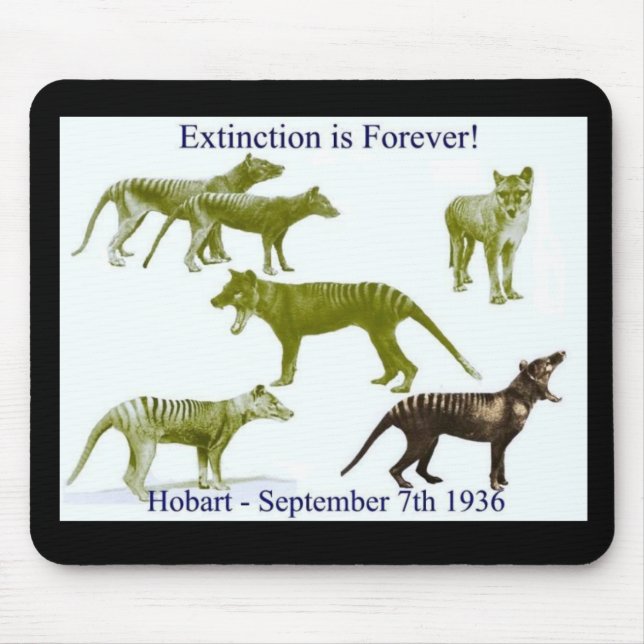 Mousepad Tapete do rato tasmaniano do Thylacine do tigre (Frente)