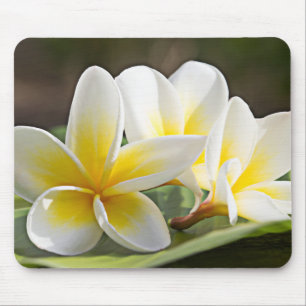 Mousepad Tapete do rato tropical das flores
