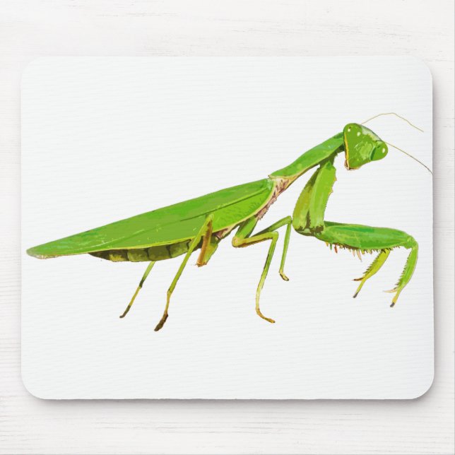 Mousepad Tapete do rato verde gigante da louva-a-deus (Frente)