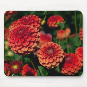 Mousepad Tapete do rato vermelho da dália