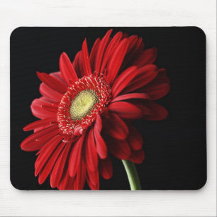 Mousepad Tapete do rato vermelho da margarida de Gerber