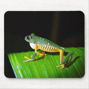 Mousepad Tapete do rato Vermelho-Eyed da fotografia do sapo