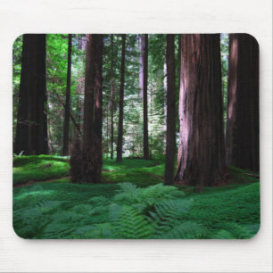 Mousepad Tapete verde das sequóias vermelhas