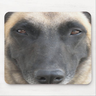 Mousepad tapetes de ratos malinois