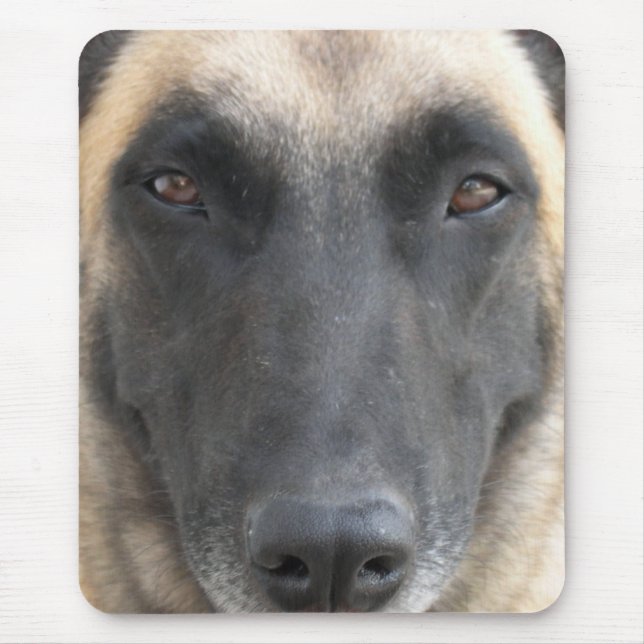 Mousepad tapetes de ratos malinois (Frente)