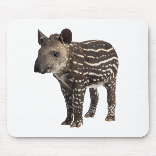 Mousepad Tapir (Frente)
