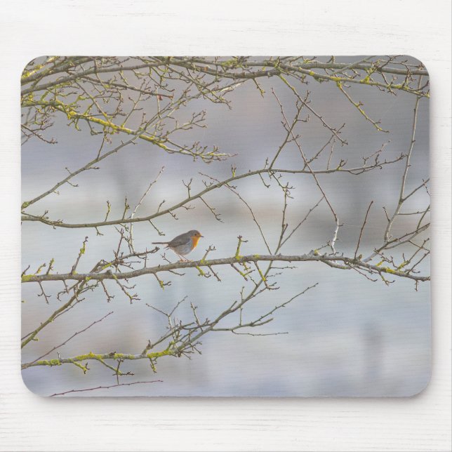 Mousepad Tapis de souris rouge-gorge (Frente)