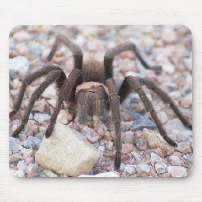 Mousepad Tarantula (Frente)