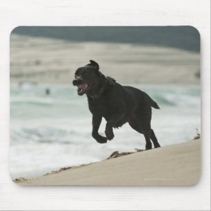 Mousepad Tarifa, Cadiz, a Andaluzia, espanha