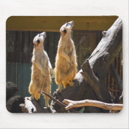 Mousepad Taronga Western Plains Zoo Dubbo - Meerkat