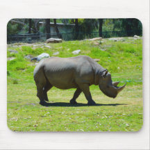 Taronga Western Plains Zoo Dubbo - Rhino