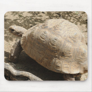 Mousepad Tartaruga