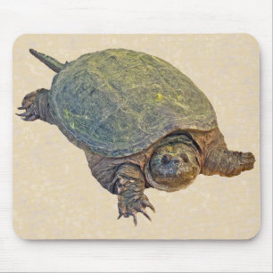 Mousepad Tartaruga de agarramento comum - serpentina do