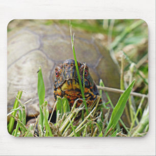 Mousepad Tartaruga de caixa