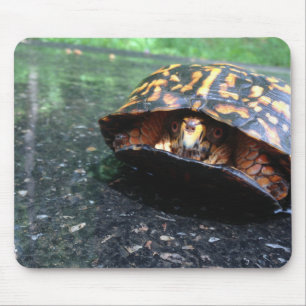 Mousepad Tartaruga de caixa