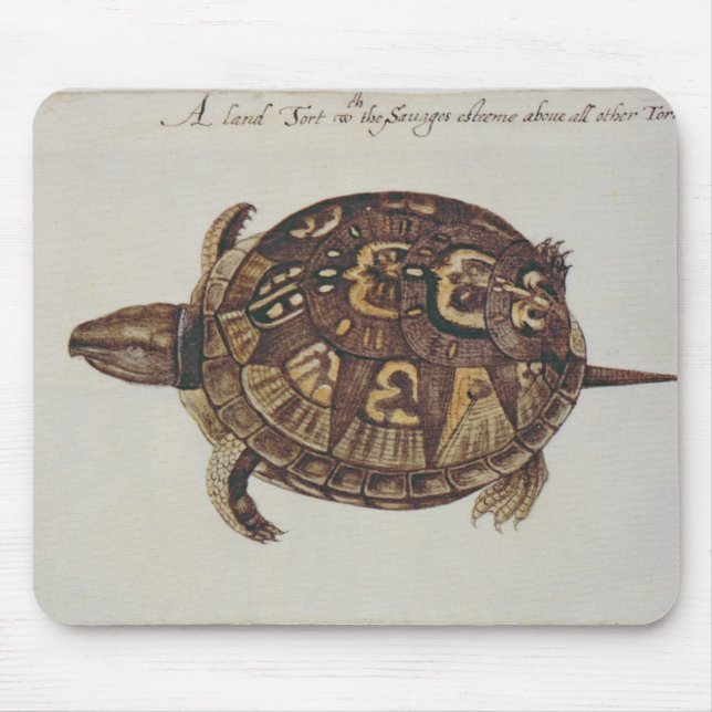 Mousepad Tartaruga de caixa comum (Frente)