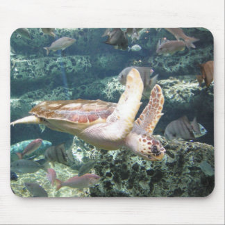Mousepad Tartaruga de mar