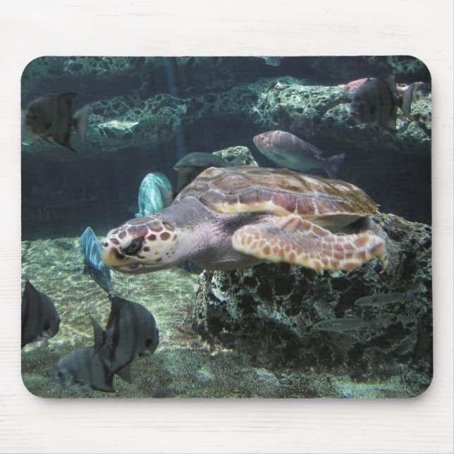 Mousepad Tartaruga de mar (Frente)