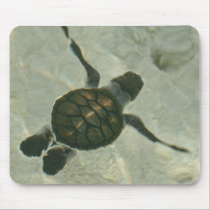 Mousepad Tartaruga de mar do bebê que nada para fora ao ma