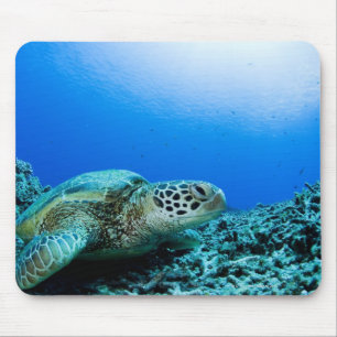 Mousepad Tartaruga de mar que descansa debaixo d'água