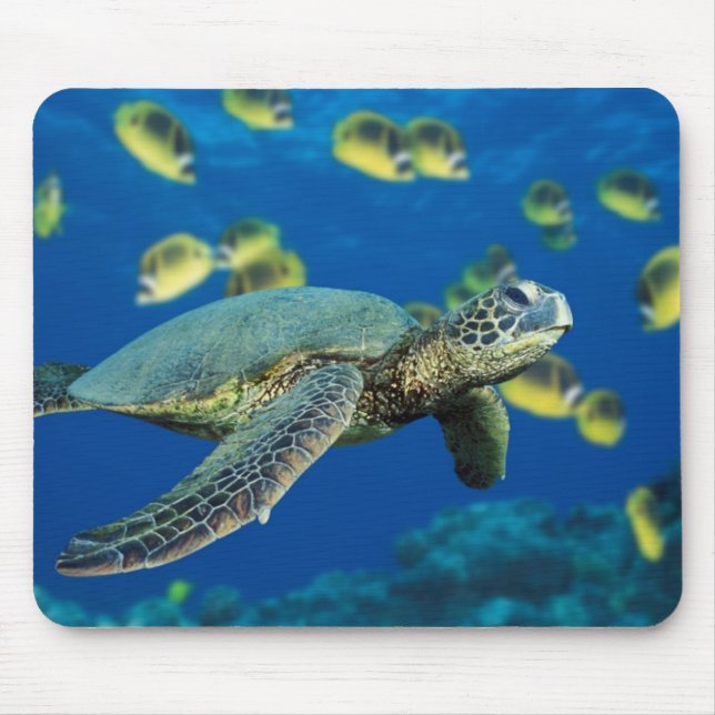 Mousepad Tartaruga de mar verde (Frente)