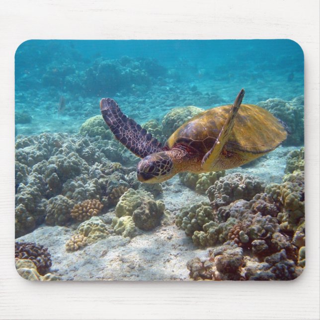 Mousepad Tartaruga de mar verde (Frente)