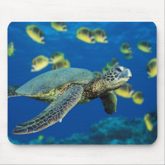 Mousepad Tartaruga de mar verde