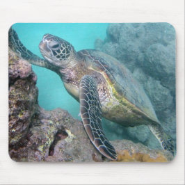 Mousepad Tartaruga de mar verde de Havaí