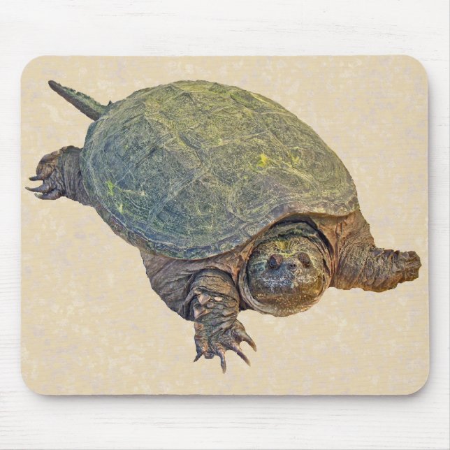 Mousepad Tartaruga de Snapshot Comum - Serpentina de Chelyd (Frente)