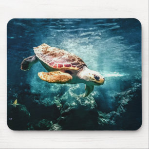 Mousepad Tartaruga-do-mar
