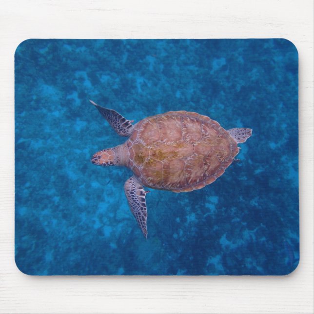 Mousepad Tartaruga do Mar de Barbados (Frente)