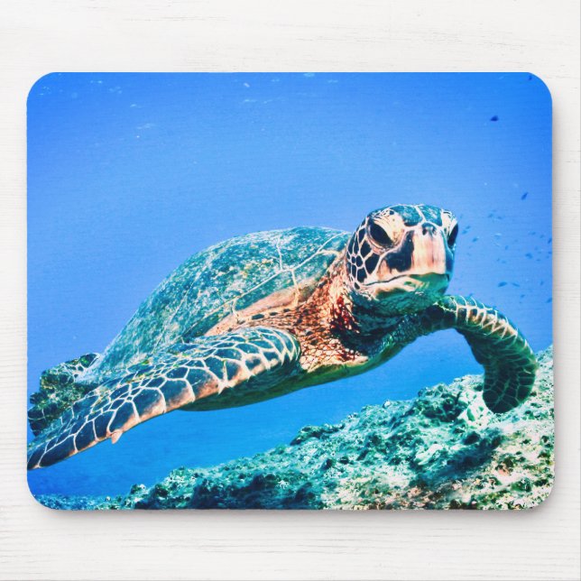 Mousepad Tartaruga do Mar Verde (Frente)