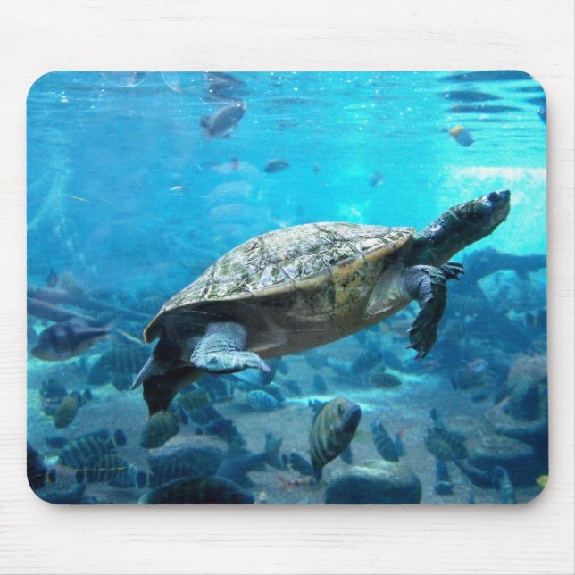 Mousepad Tartaruga e peixes (Frente)