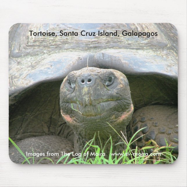 Mousepad Tartaruga, ilha de Santa Cruz, Galápagos (Frente)
