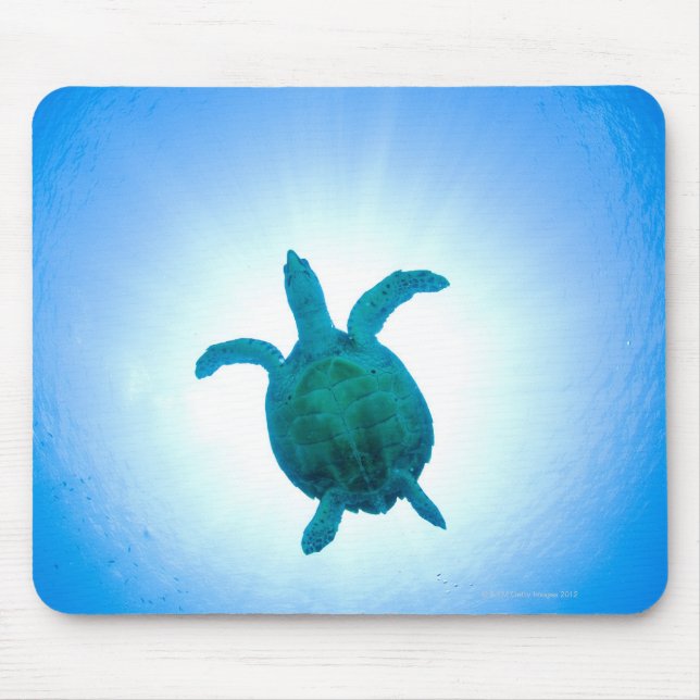 Mousepad Tartaruga marinha nadando debaixo de água (Frente)